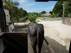 引いてくれるのはレキオくん。