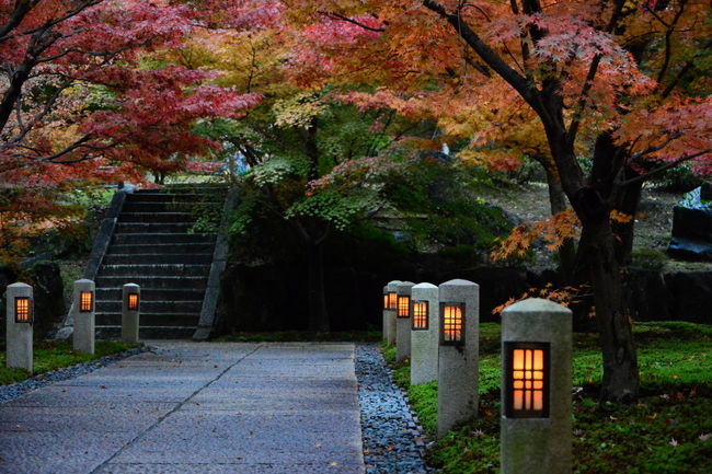 19日はこの辺りで終えて・・・