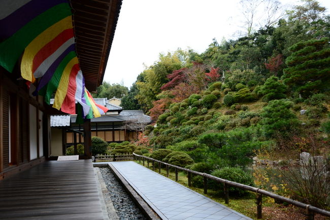 庭園の拝観へ参ります<br /><br />実はここでいつもと違う風景になっていたのですが<br />この時点では私は気が付きませんでした