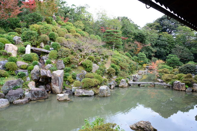 えっえっえ～！