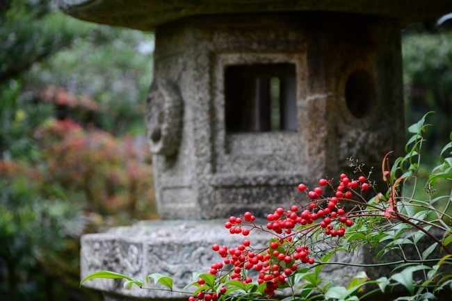 次回訪問時に確認してみます