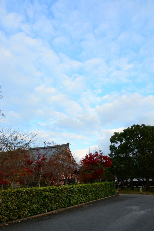 夕暮れに♪　仰ぎ見る♪　輝く～青空♪