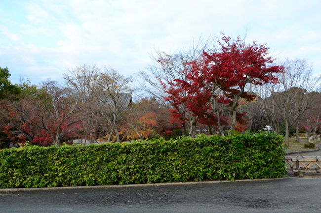 駐車場の裏の坂道