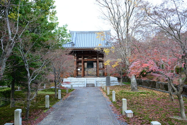 鐘楼近くはすっかり晩秋