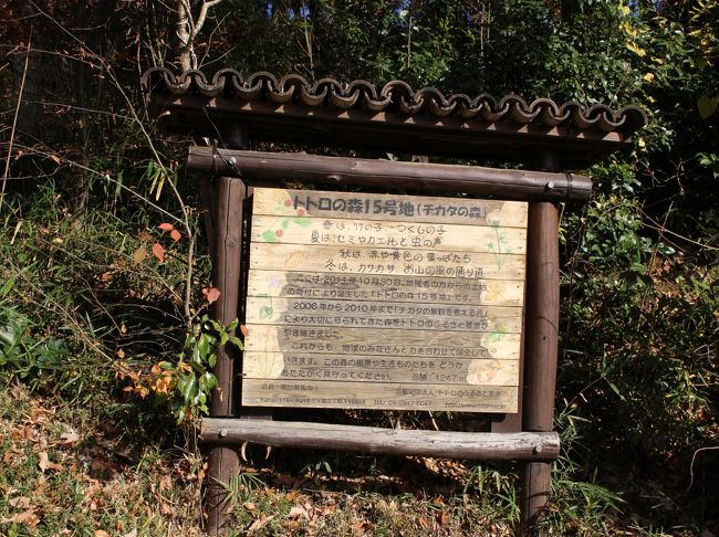 トトロに会いたい トトロの森はどこですか 狭山丘陵を歩いてトトロを探そう 所沢 埼玉県 の旅行記 ブログ By ちちぼーさん フォートラベル