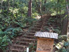 トトロを探しに狭山丘陵の一角を散歩しました。