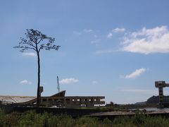 『奇跡の一本松』です
高田松原は約350年前から植林が行われ約7万本の松の木が茂っていました。
市民の憩いの場所として、夏には海水浴でにぎわう場所でした。
あの日までは・・・
