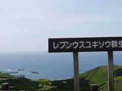 レブンウスユキソウ群生地に到着。１２：３３．
咲いているでしょうか。