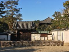 正倉院
この時間帯は中の見学はできません。