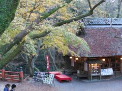 若草山から下りてくるとレトロな風情の茅葺屋根のお店を発見！！落葉したモミジが屋根を赤く染めています。
水谷茶屋さんでした。・・こちらで休憩しておけばよかったと後悔・・(≧▽≦)
