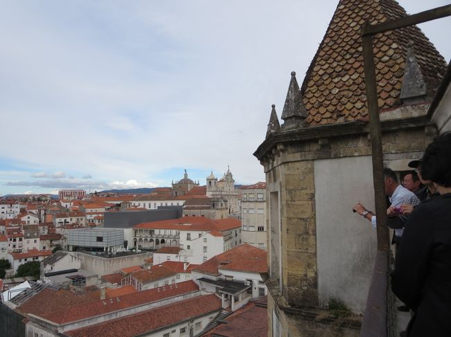 展望台は、このような細～い（人がすれ違えるくらいの幅）で、手すりがあります。