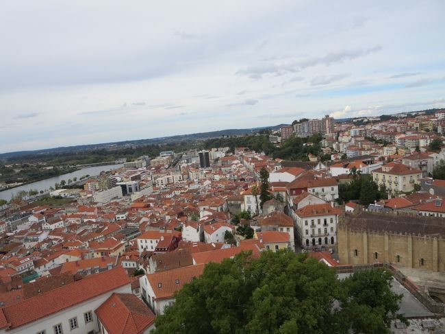 いろんな方角をぱちり♪