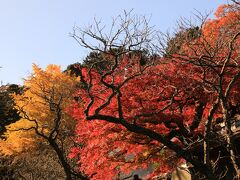 かつては「かけこみ寺」だった東慶寺

今は四季折々の草花や樹木が参拝者を迎えてくれる「花の寺」として有名です。