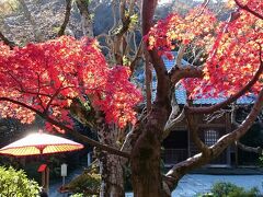 海蔵寺に到着

こぢんまりとしたお寺ですが、ここも花の寺として人気があります。