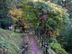 温泉津温泉から石見銀山公園に向かいます。道に迷ってぐるぐると車で走り回りましたが、無事に駐車場に到着し、散策スタートです。
まず、龍源寺間歩に向かいます。2km以上の距離です。レンタサイクルもあり、自転車で移動している人も多くいましたが、今回はこんな雰囲気の遊歩道を歩こうと徒歩で向かいます。雨も大丈夫そうで、気温はそこそこ低く快適です。
