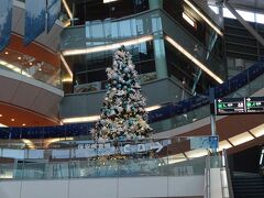 クリスマスシーズンとあって、羽田空港も綺麗なツリー!