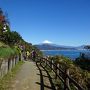 富士山展望スポットをめぐる旅（薩埵峠、浜石岳、三保松原、芦ノ湖、大観山）