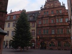 ハウプト通りをさらに西に移動すると、クリスマスツリーがありました。

ホテル・ツム・リッター・ザンクト・ゲオルク(写真右奥)の前です。
このホテルはハイデルベルクで最古の建築物です。