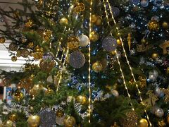季節柄、金沢駅ではクリスマスツリー。
雪吊りを意識した電飾が金沢らしいし、新幹線モチーフにJRらしさが。