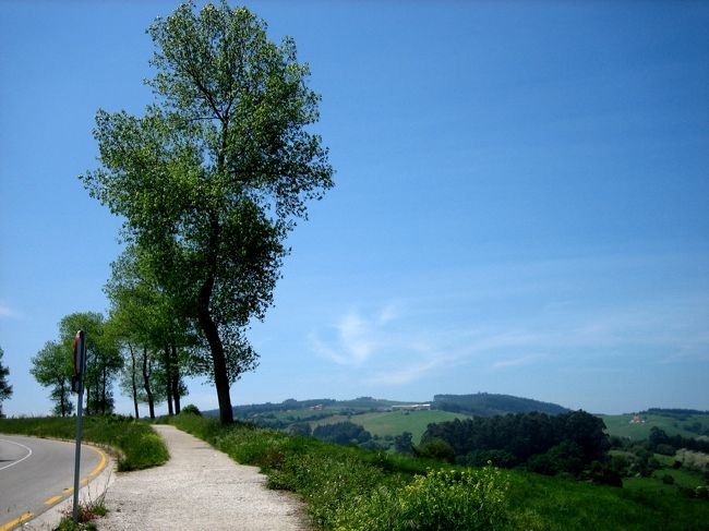 平成18年5月16日（火）サンティリャーナ・デル・マル<br /><br />　バスから降りてアルタミラ博物館まで1.3キロの坂道を15分程かけて登り、途中息切れしそうになったが、眼下に見える農村風景が素晴らしく噴き出す汗も乾燥した爽やかな風に吹き飛んで爽快だった。