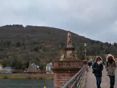 コートのフードをかむる寒風の観光客