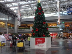 千歳空港のクリスマスツリー。いつもの友達と一緒です。