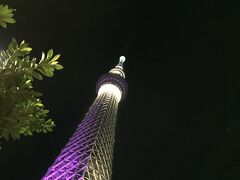 深夜23時を少し回ったあたり。
紫の灯りに包まれた東京スカイツリーの麓にある停留所から、滋賀の県都大津行きの高速バスに乗り込む。
本来は京都と東京ディズニーリゾートの往来が目的のバスだが。
ありがたいことに当方の乗下車地である東京スカイツリーと大津に停車してくれる。
東京スカイツリーでは半分程度しか埋まっていなかった座席も上野で満席に。
漆黒の闇の中を、バスは西に向かって走り出した。