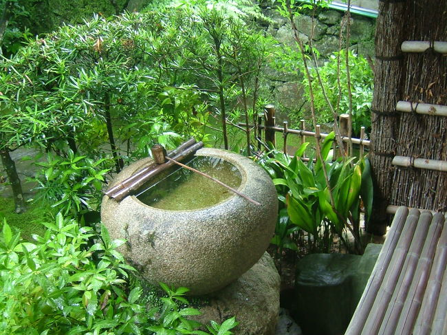 山荘庭園を見学します。