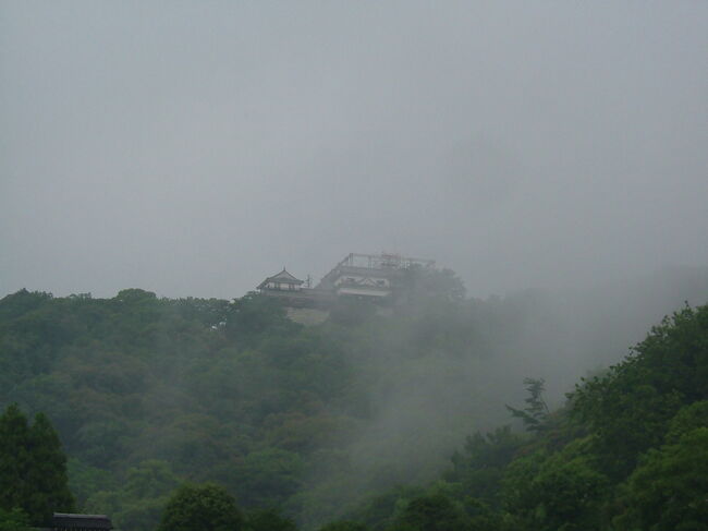 雨が上がり少しずつ空が明るくなってきましたので県庁前停留所で降り、城山公園をブラブラしてみます。松山城は工事中で天守閣の上の部分が無くなっていました。