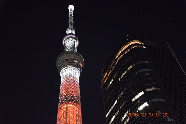 13 代々木公園で復活した青の洞窟と東京スカイツリーキャンドルツリー 16 渋谷 東京 の旅行記 ブログ By Jh2fxvさん フォートラベル