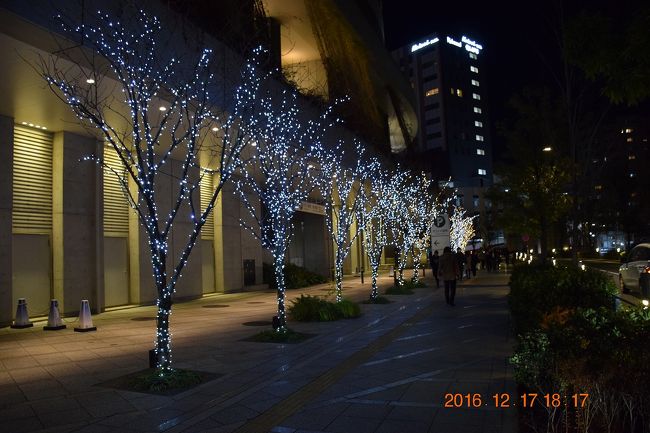 13 代々木公園で復活した青の洞窟と東京スカイツリーキャンドルツリー 16 渋谷 東京 の旅行記 ブログ By Jh2fxvさん フォートラベル