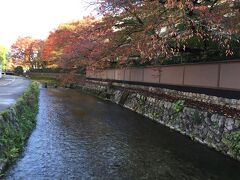 町屋から徒歩1分で白川です。
早朝散歩の始まり
美しい紅葉を満喫します