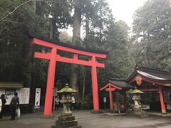 せっかくなんで、箱根神社にお参りします。