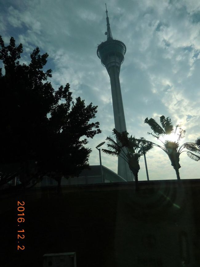 帰りの車中からみた、マカオタワー<br />