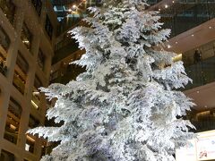 KITTEのホワイトツリー

東京駅丸の内南口前にあるKITTEのアトリウムに飾られたホワイトツリー。
屋内では日本最大級の高さ１４．５ｍで、雪が降り積もったような真っ白なツリーです。