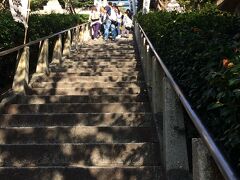 だんだん坂も急になり、私の息もヒーフーヒーフー＠＠

北野天満神社の階段急すぎる！！！
もうここで普段歩かない私の足が限界に（笑）