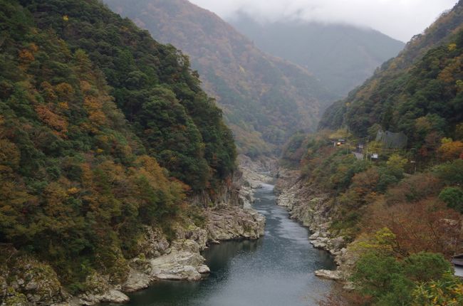 絶景！土讃線秘境トロッコ」に乗って大歩危へ』祖谷渓・かずら橋