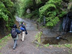 雨がどんどん強くなってきました。最後にバスに乗って朝比奈切通しにやってきました。