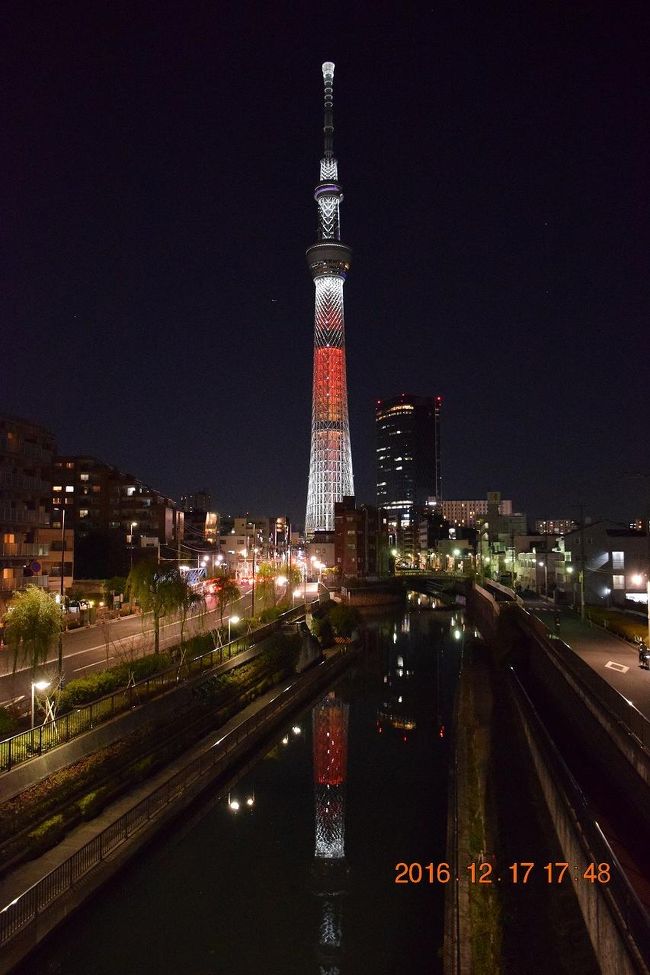 13 代々木公園で復活した青の洞窟と東京スカイツリーキャンドルツリー 16 渋谷 東京 の旅行記 ブログ By Jh2fxvさん フォートラベル
