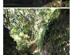 知念城跡に向かう途中、見付けた志喜屋グスク。
中はうっそうとしたジャングル。
しかし、何か神聖な雰囲気が漂う場所だった。