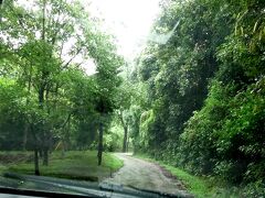 旧千燈寺跡に寄ろうと，駐車場まで細い道を行くが，大雨が降ってきたのであきらめる．実はこの後11月の出張時にも再トライを試みるが行くことができなかった