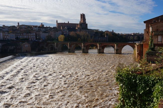 最初にアルビに人が住んだのは青銅器時代。<br />紀元前51年、ローマ帝国のガリア征服後、街はキウィタス・アルビゲンシウム（Civitas Albigensium）、次いでアルビガ（Albiga）と呼ばれるようになった。名前の由来ははっきりしないが、アルビウス（Albius）というローマ人名に由来するという説もある。考古学的発掘ではローマ建築の痕跡が見つからず、このことから、アルビは質素なローマ人入植地であったと思われる。