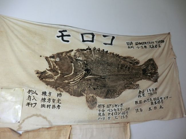 うわぁ、デカイ！<br />父島ではこんな魚が釣れるそうです。