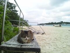 どうもありがとう。
元気でね！
また来るね！