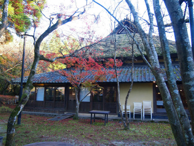 大分 由布院 おやど開花亭 湯布院 由布院温泉 大分県 の旅行記 ブログ By Samansa1126さん フォートラベル