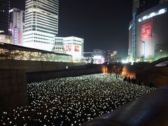 ぐるっと一周して、やっとたどり着いたLEDバラ庭園。