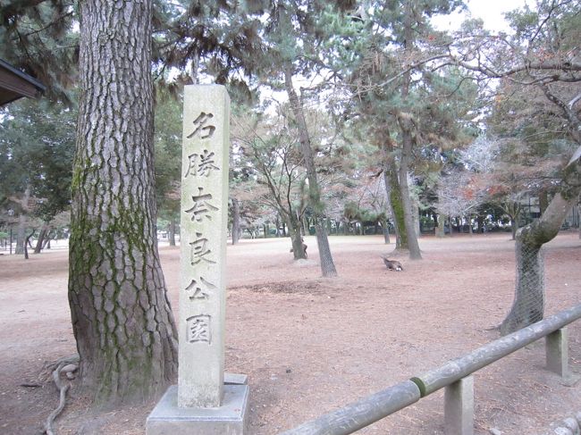 バスに乗って奈良公園へGO！