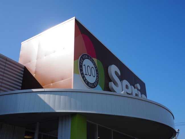 セリア。新店なのでよく行きました。