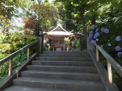 深大寺を出て左に進むとあじさいのきれいなお寺がありました。
