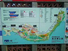 瀬底島から海洋博記念公園へ移動します。